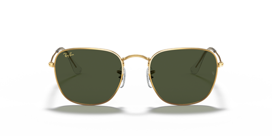 RAY-BAN RB3857 FRANK 9196/31 51 20 140 3N KADIN GÜNEŞ GÖZLÜĞÜ